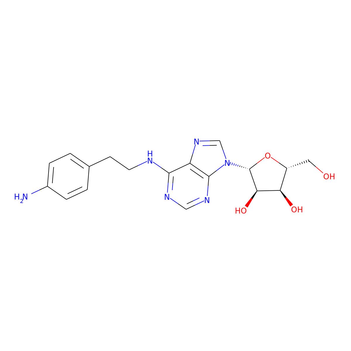 NAs.000304