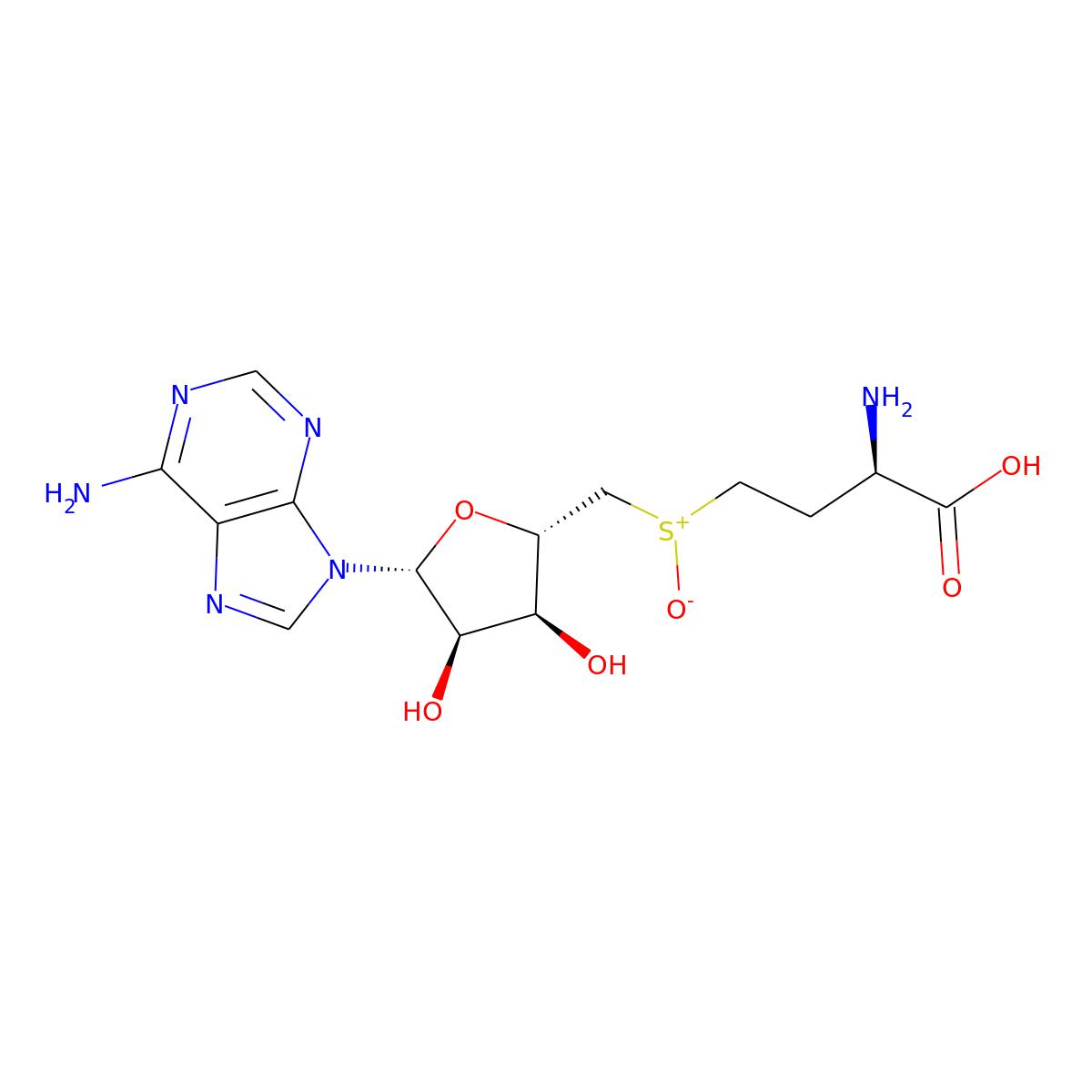 NAs.000364