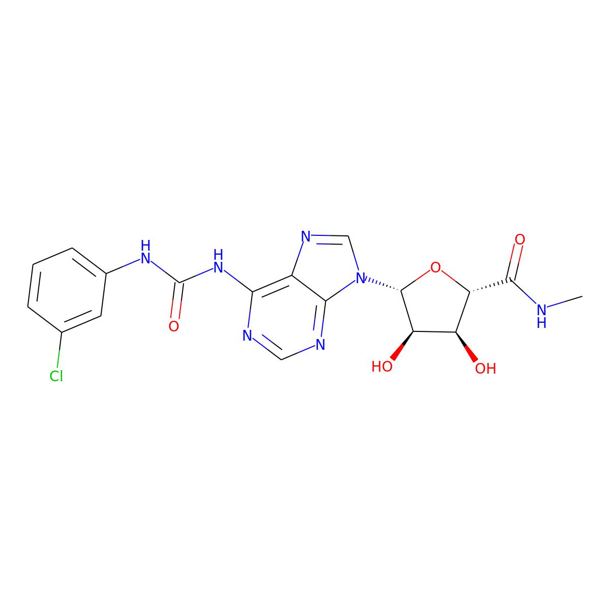 NAs.000448