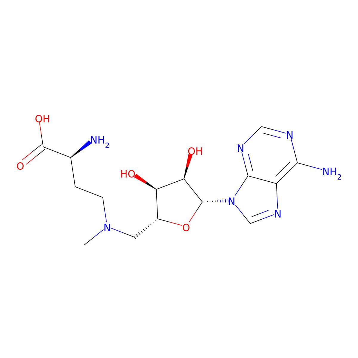 NAs.000552