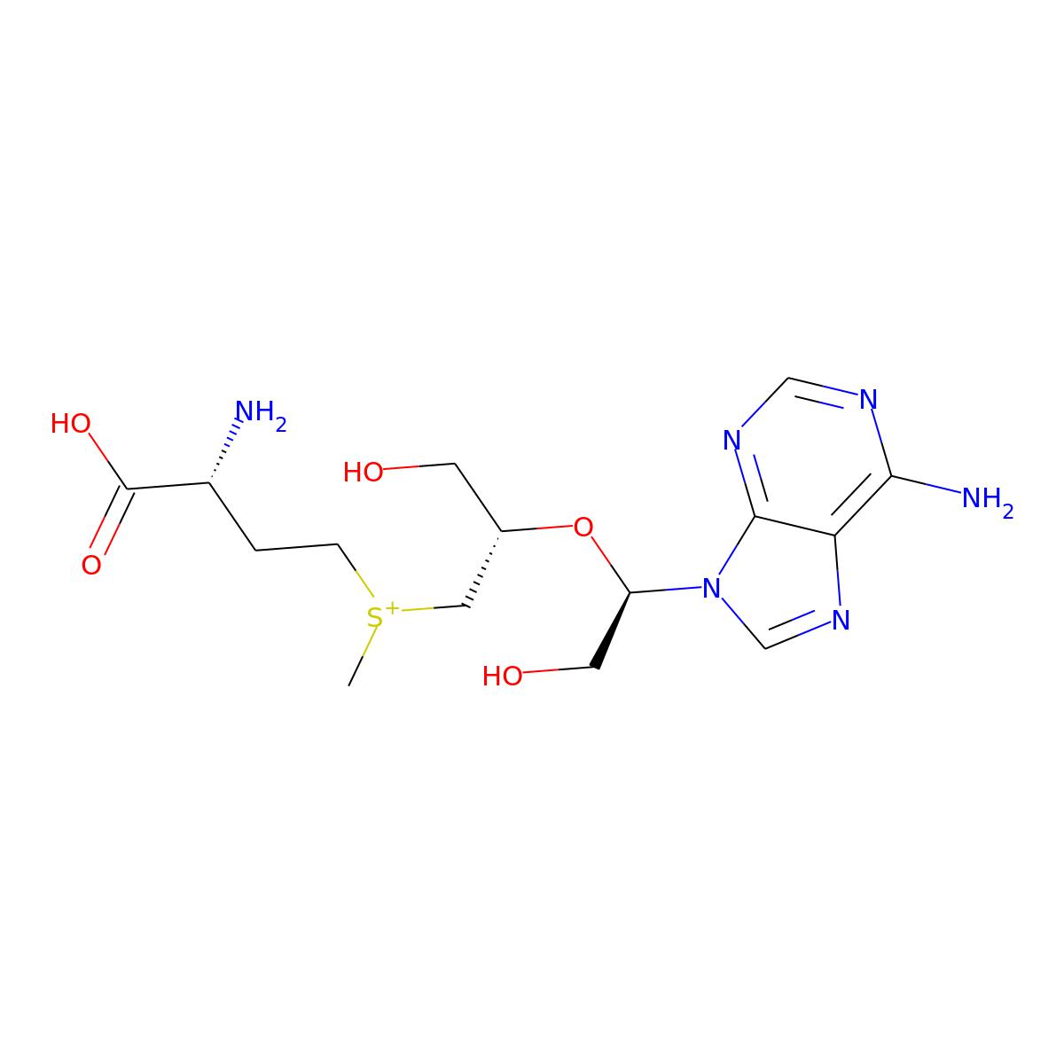 NAs.000607