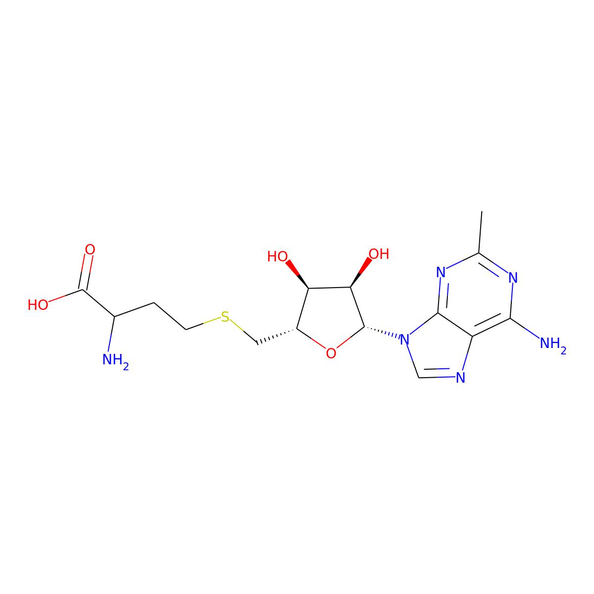 NAs.000649