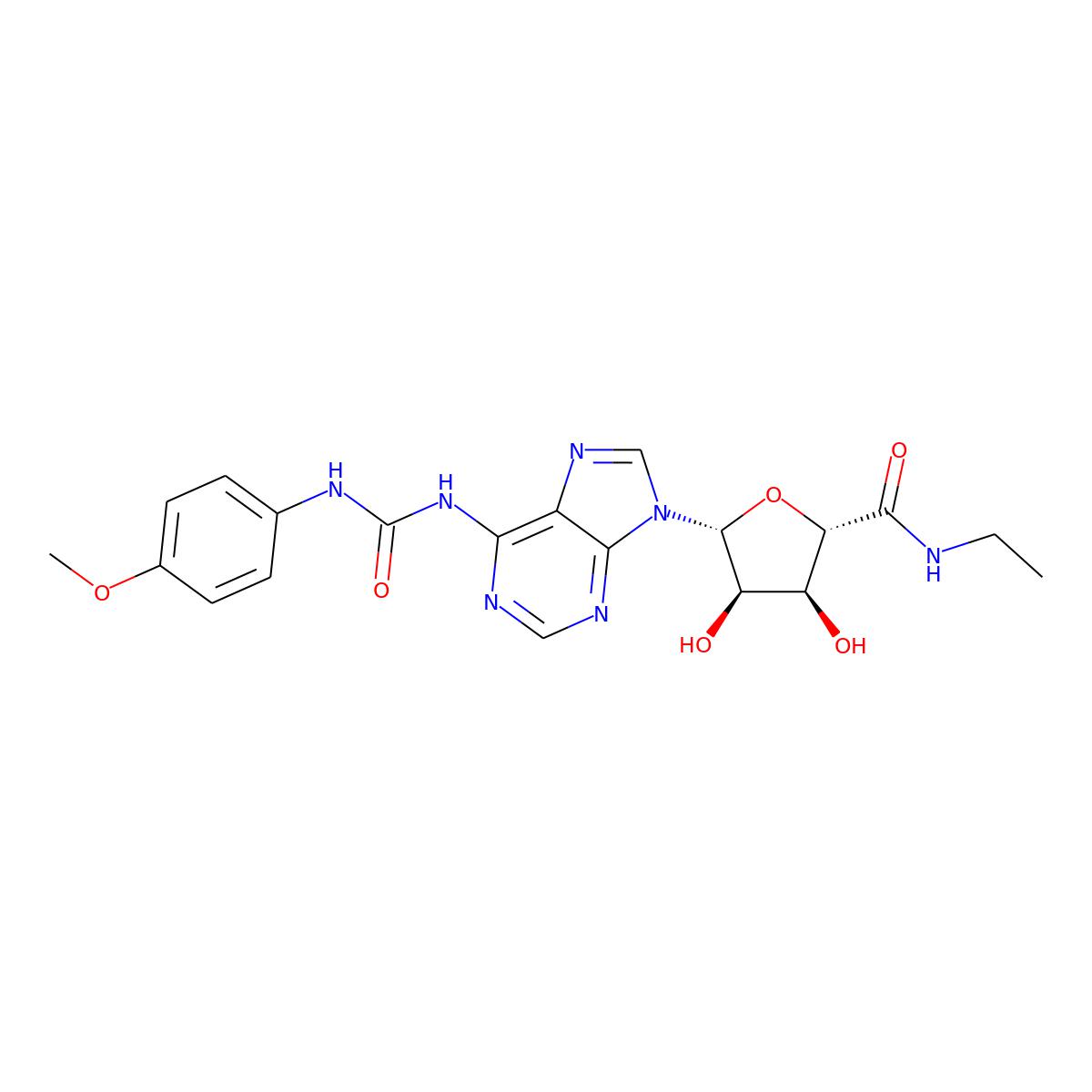 NAs.000808