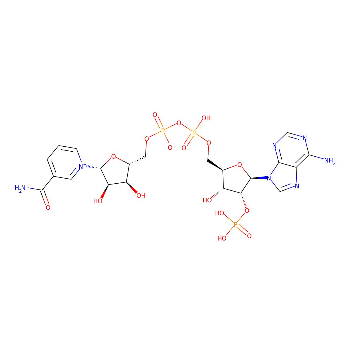NAs.001271