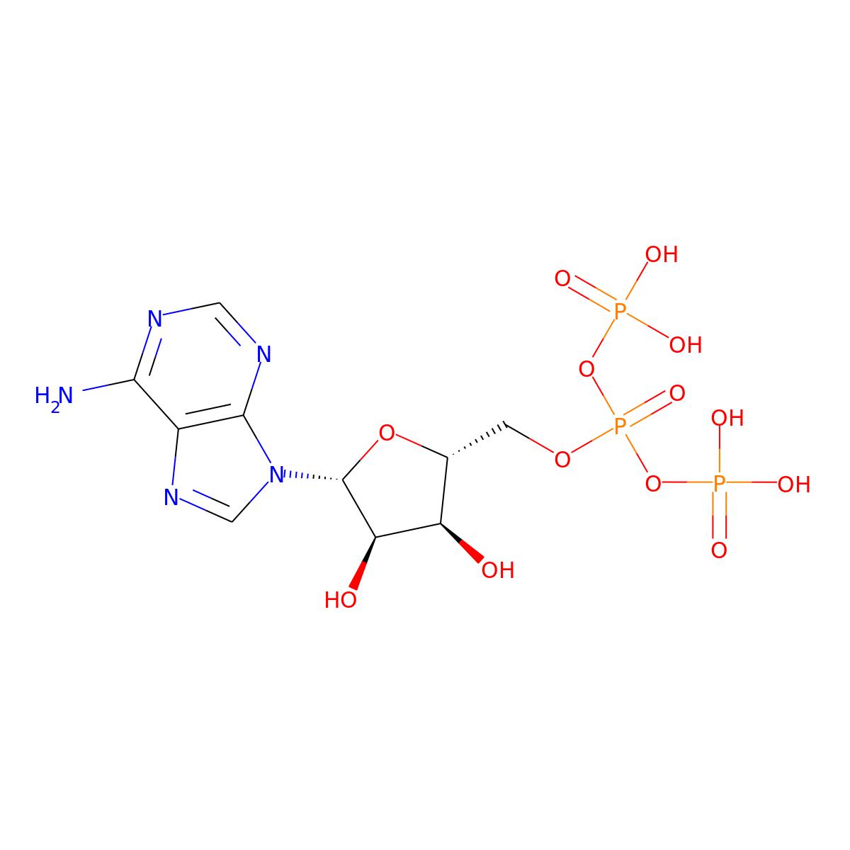NAs.002575