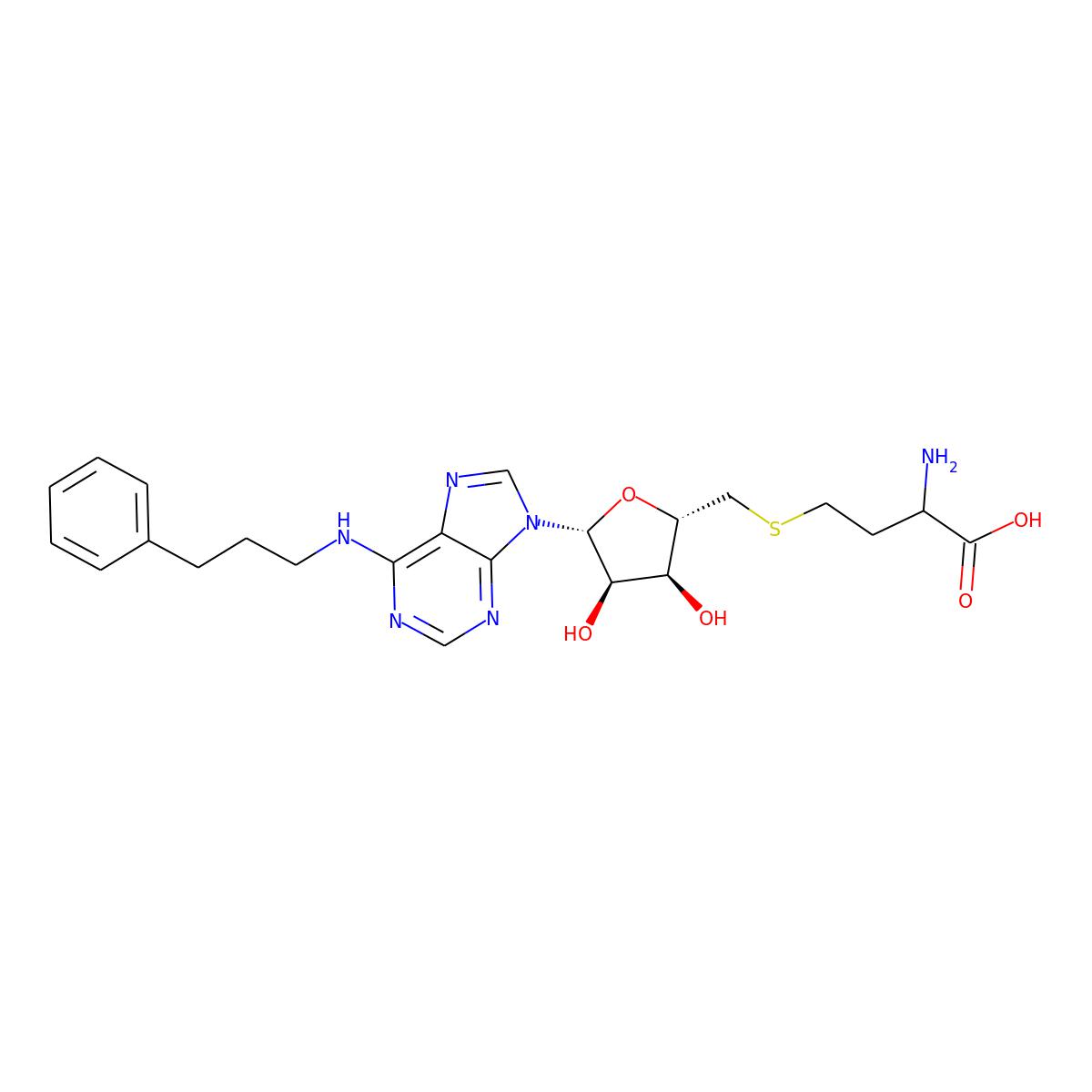 NAs.002817