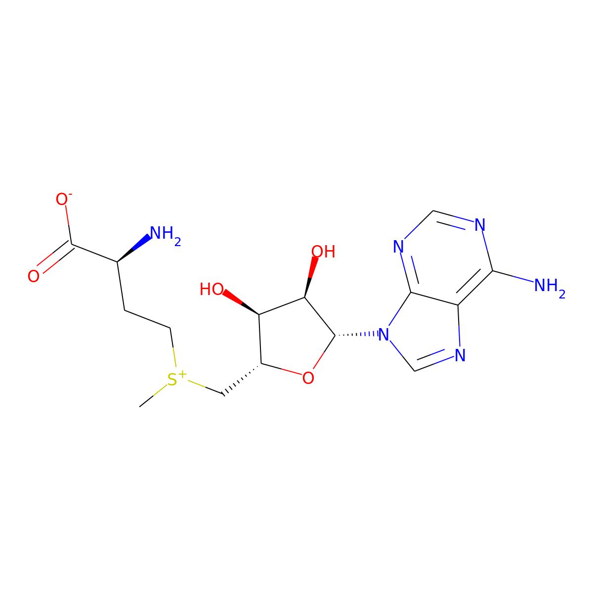 NAs.002818