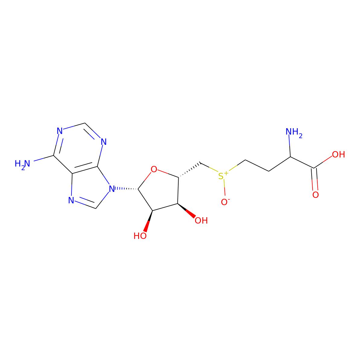 NAs.002963