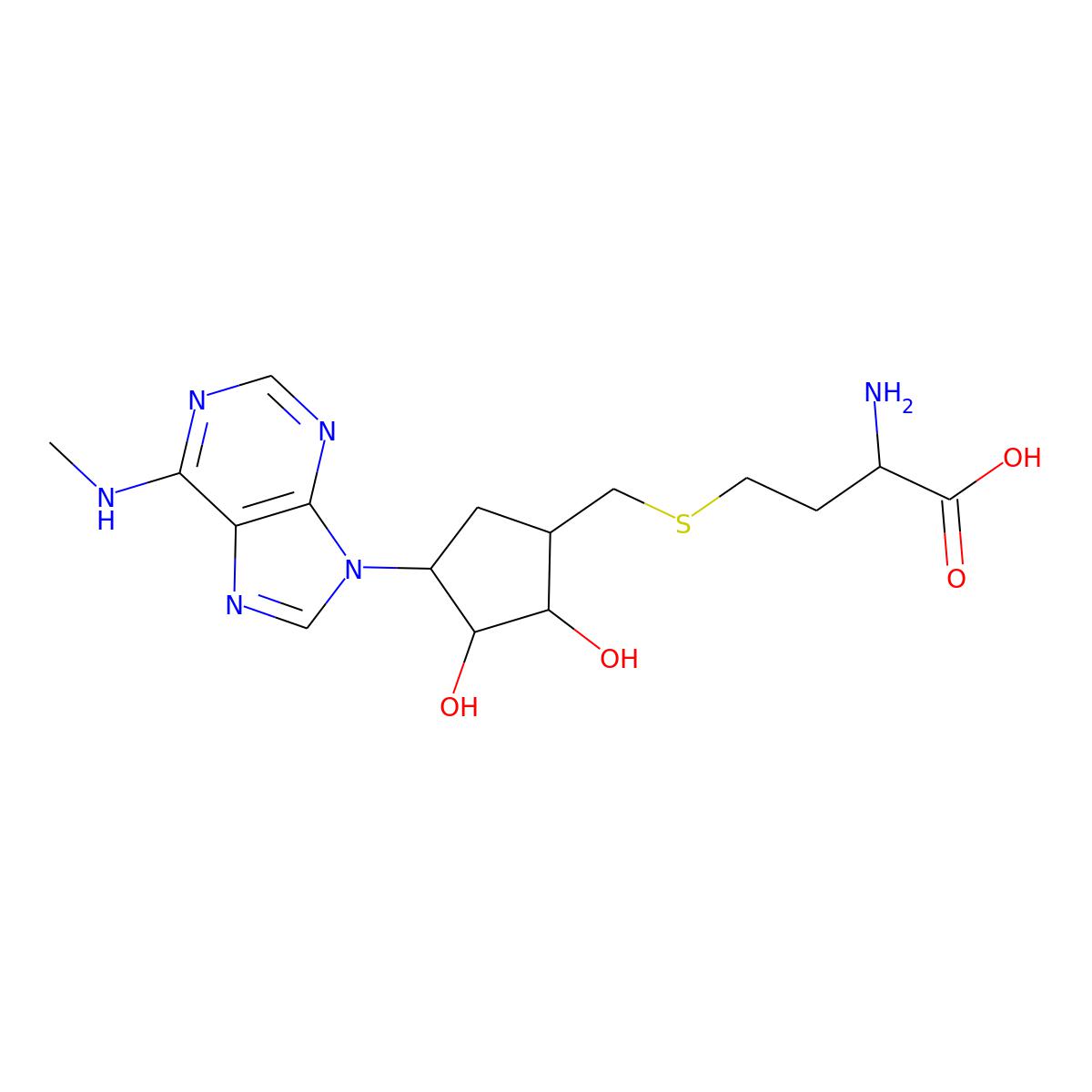 NAs.003106