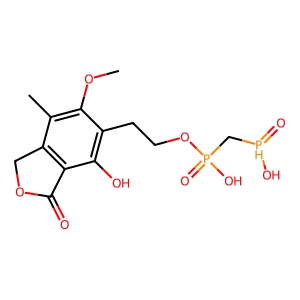 Phosphate Fragment Image
