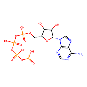 Phosphate Fragment Image