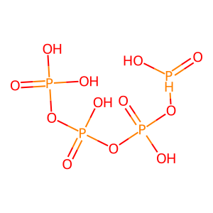 Phosphate Fragment Image